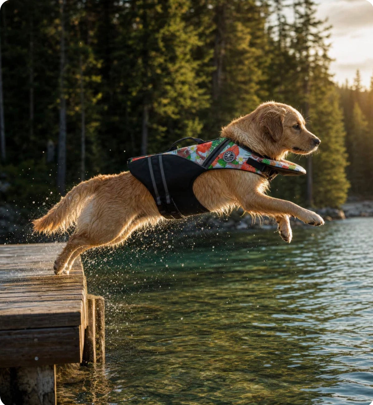 Dog Life Jacket