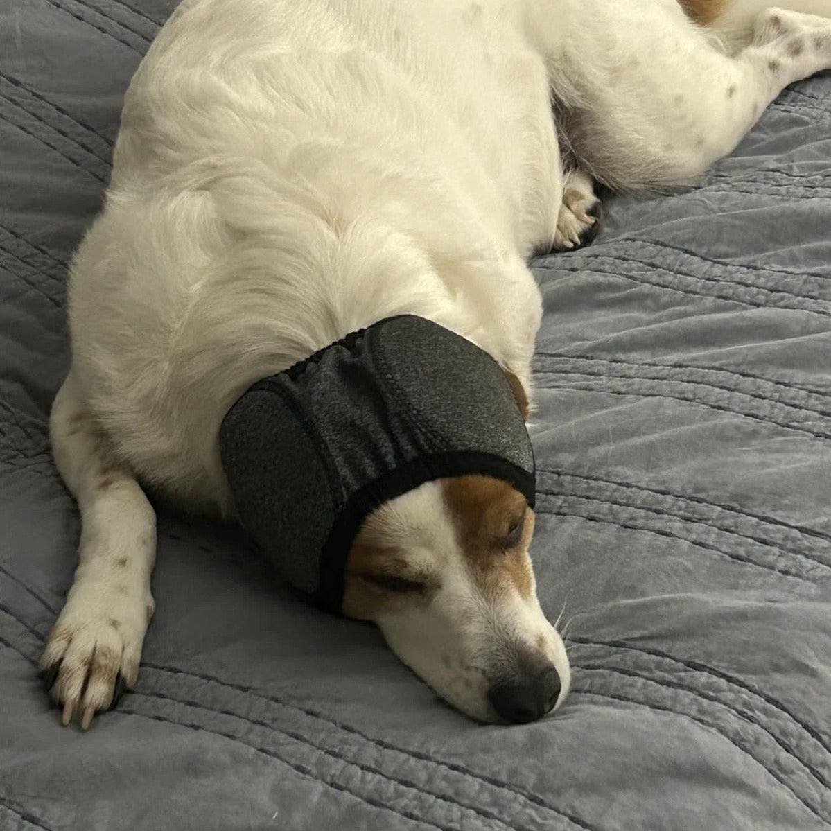 Calming Ear Wrap  ™revro