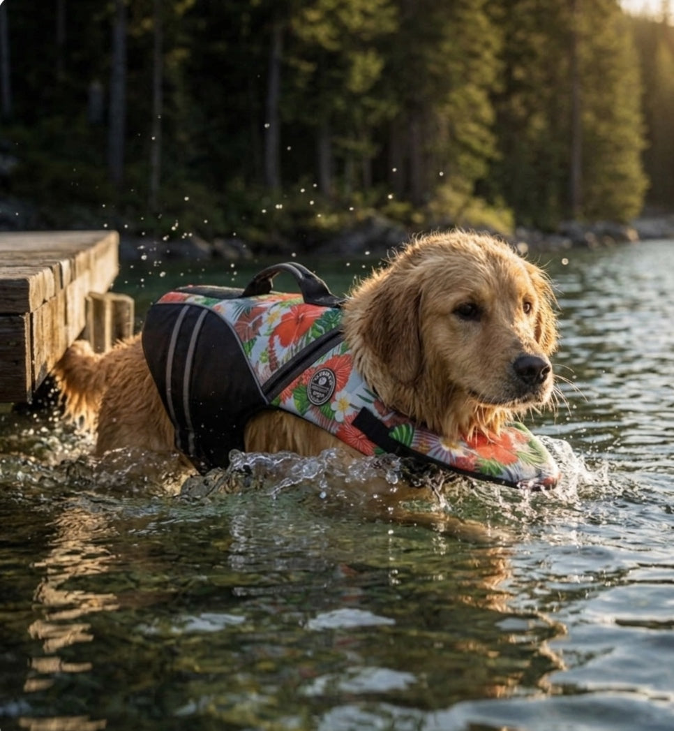 Dog Life Jacket